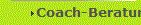 Coach-Beratung