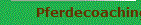 Pferdecoaching
